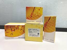 Albumin